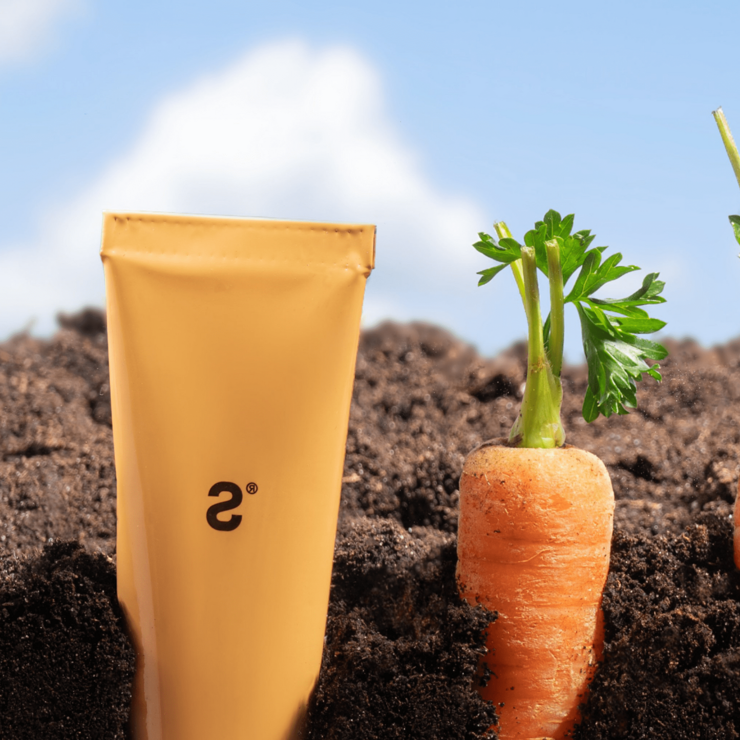 SMART HAND CREAM CARROT